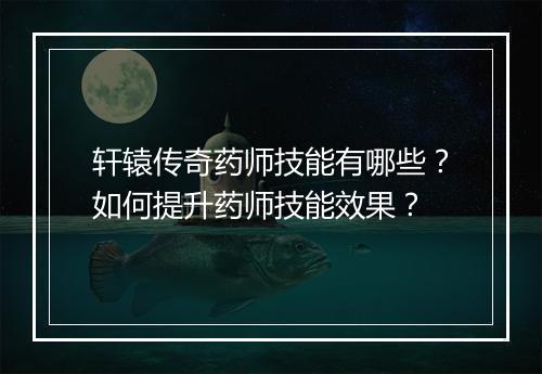 轩辕传奇药师技能有哪些？如何提升药师技能效果？