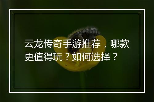 云龙传奇手游推荐，哪款更值得玩？如何选择？