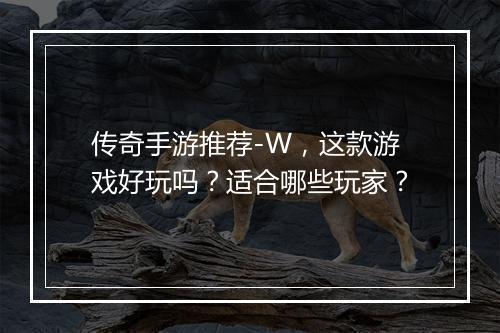 传奇手游推荐-W，这款游戏好玩吗？适合哪些玩家？