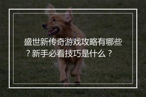 盛世新传奇游戏攻略有哪些？新手必看技巧是什么？