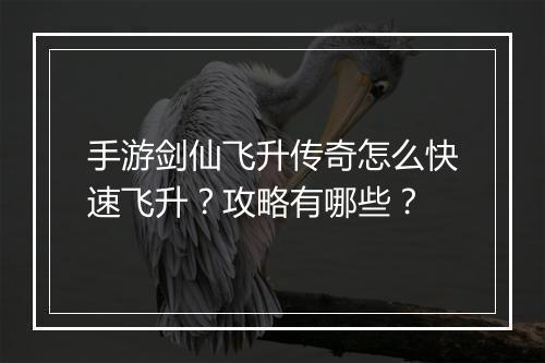 手游剑仙飞升传奇怎么快速飞升？攻略有哪些？