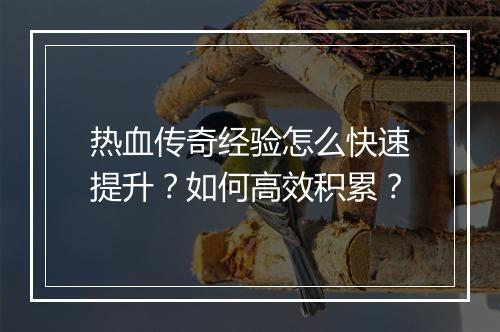 热血传奇经验怎么快速提升？如何高效积累？