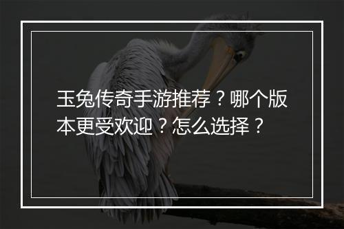 玉兔传奇手游推荐？哪个版本更受欢迎？怎么选择？