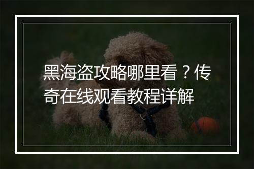 黑海盗攻略哪里看？传奇在线观看教程详解
