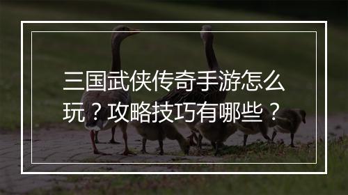 三国武侠传奇手游怎么玩？攻略技巧有哪些？