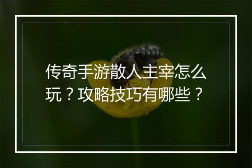 传奇手游散人主宰怎么玩？攻略技巧有哪些？