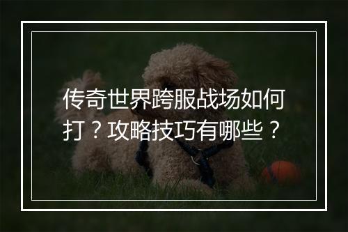 传奇世界跨服战场如何打？攻略技巧有哪些？