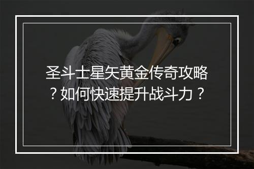 圣斗士星矢黄金传奇攻略？如何快速提升战斗力？