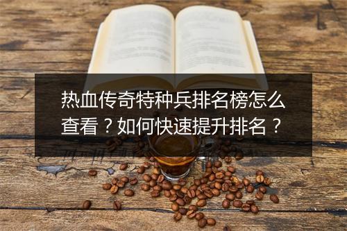 热血传奇特种兵排名榜怎么查看？如何快速提升排名？