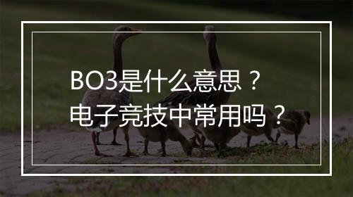 BO3是什么意思？电子竞技中常用吗？