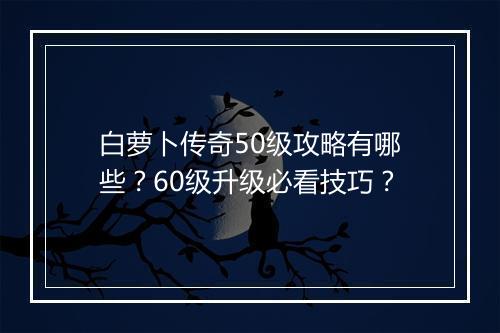 白萝卜传奇50级攻略有哪些？60级升级必看技巧？