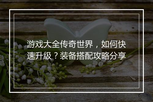 游戏大全传奇世界，如何快速升级？装备搭配攻略分享