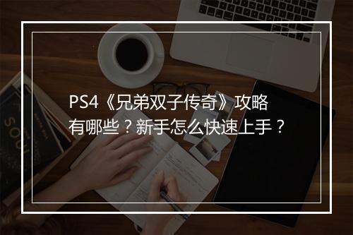 PS4《兄弟双子传奇》攻略有哪些？新手怎么快速上手？