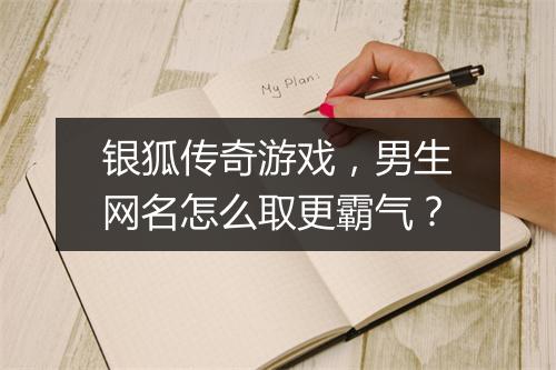 银狐传奇游戏，男生网名怎么取更霸气？