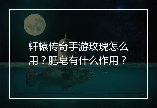 轩辕传奇手游玫瑰怎么用？肥皂有什么作用？