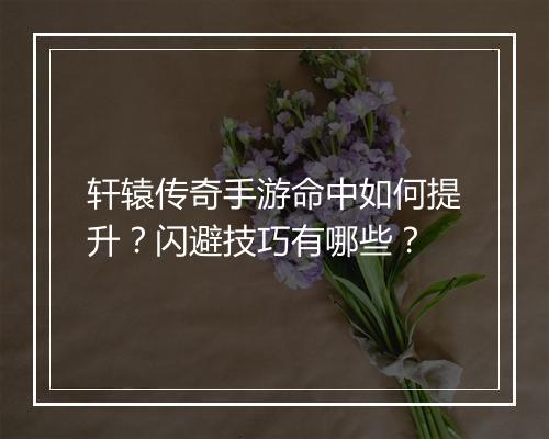 轩辕传奇手游命中如何提升？闪避技巧有哪些？