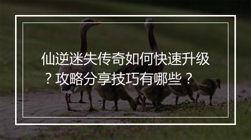 仙逆迷失传奇如何快速升级？攻略分享技巧有哪些？