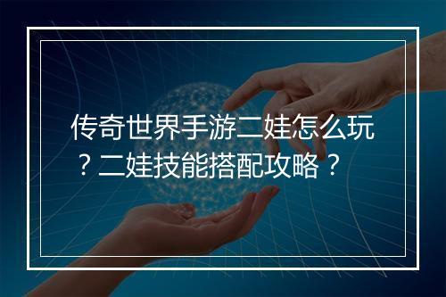 传奇世界手游二娃怎么玩？二娃技能搭配攻略？