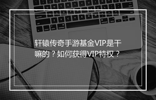 轩辕传奇手游基金VIP是干嘛的？如何获得VIP特权？