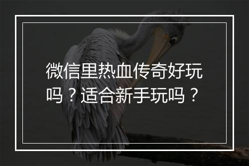 微信里热血传奇好玩吗？适合新手玩吗？