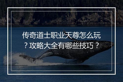 传奇道士职业天尊怎么玩？攻略大全有哪些技巧？
