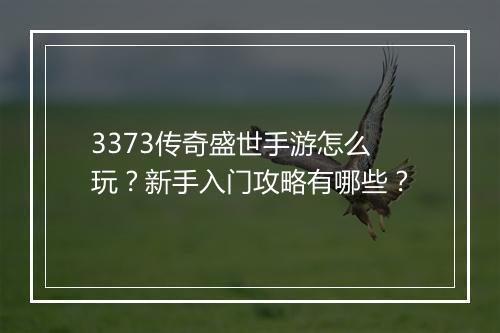 3373传奇盛世手游怎么玩？新手入门攻略有哪些？