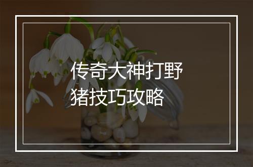 传奇大神打野猪技巧攻略