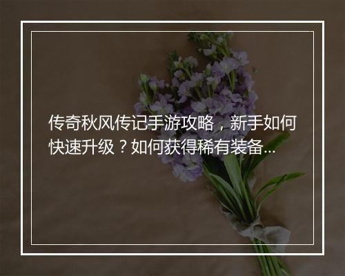 传奇秋风传记手游攻略，新手如何快速升级？如何获得稀有装备？