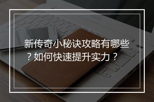 新传奇小秘诀攻略有哪些？如何快速提升实力？
