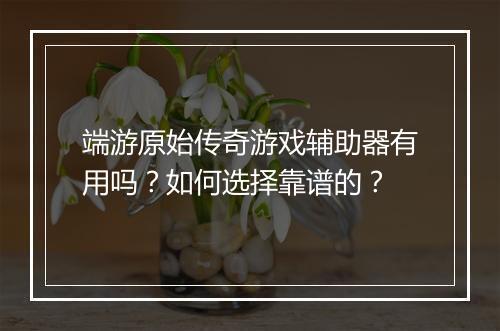 端游原始传奇游戏辅助器有用吗？如何选择靠谱的？