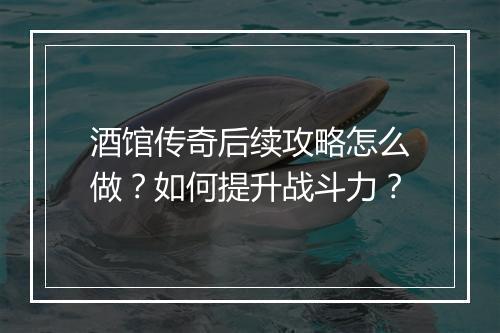 酒馆传奇后续攻略怎么做？如何提升战斗力？