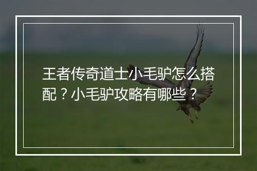 王者传奇道士小毛驴怎么搭配？小毛驴攻略有哪些？