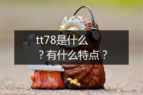 tt78是什么？有什么特点？