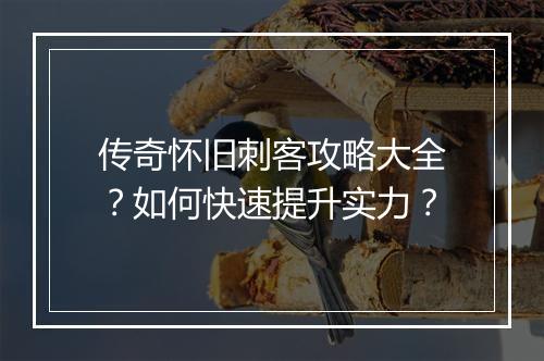 传奇怀旧刺客攻略大全？如何快速提升实力？