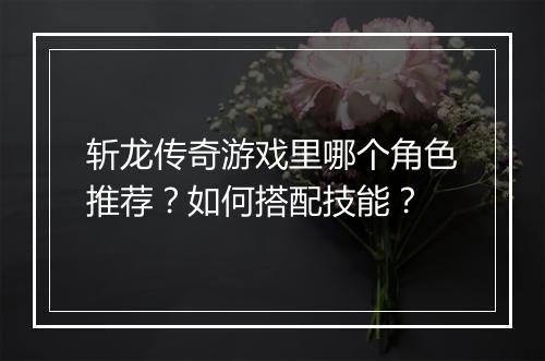 斩龙传奇游戏里哪个角色推荐？如何搭配技能？