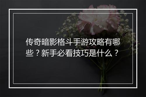 传奇暗影格斗手游攻略有哪些？新手必看技巧是什么？