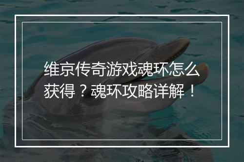 维京传奇游戏魂环怎么获得？魂环攻略详解！