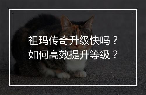 祖玛传奇升级快吗？如何高效提升等级？