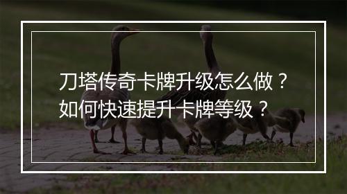 刀塔传奇卡牌升级怎么做？如何快速提升卡牌等级？