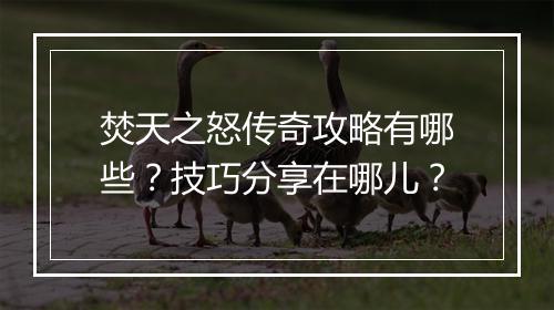 焚天之怒传奇攻略有哪些？技巧分享在哪儿？