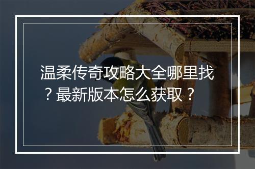 温柔传奇攻略大全哪里找？最新版本怎么获取？
