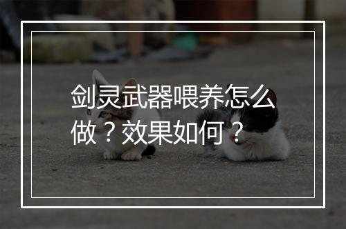 剑灵武器喂养怎么做？效果如何？