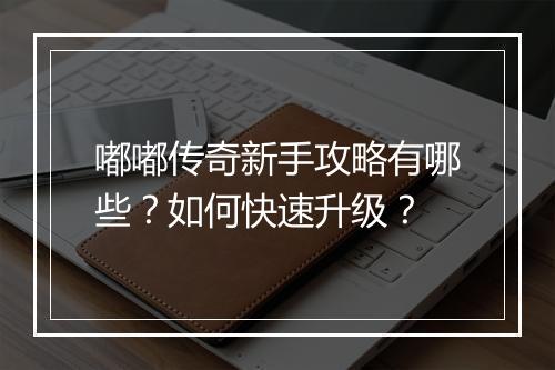 嘟嘟传奇新手攻略有哪些？如何快速升级？