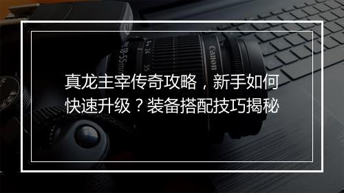 真龙主宰传奇攻略，新手如何快速升级？装备搭配技巧揭秘