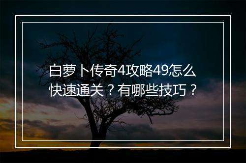 白萝卜传奇4攻略49怎么快速通关？有哪些技巧？