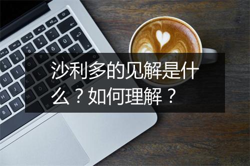 沙利多的见解是什么？如何理解？