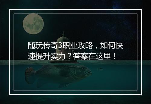 随玩传奇3职业攻略，如何快速提升实力？答案在这里！