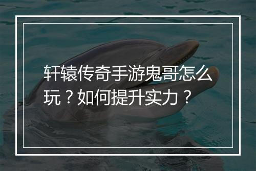 轩辕传奇手游鬼哥怎么玩？如何提升实力？