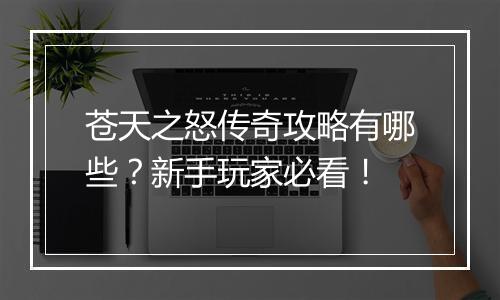 苍天之怒传奇攻略有哪些？新手玩家必看！