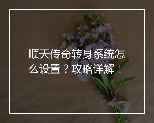 顺天传奇转身系统怎么设置？攻略详解！